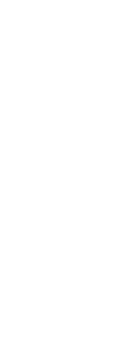 ハレの日